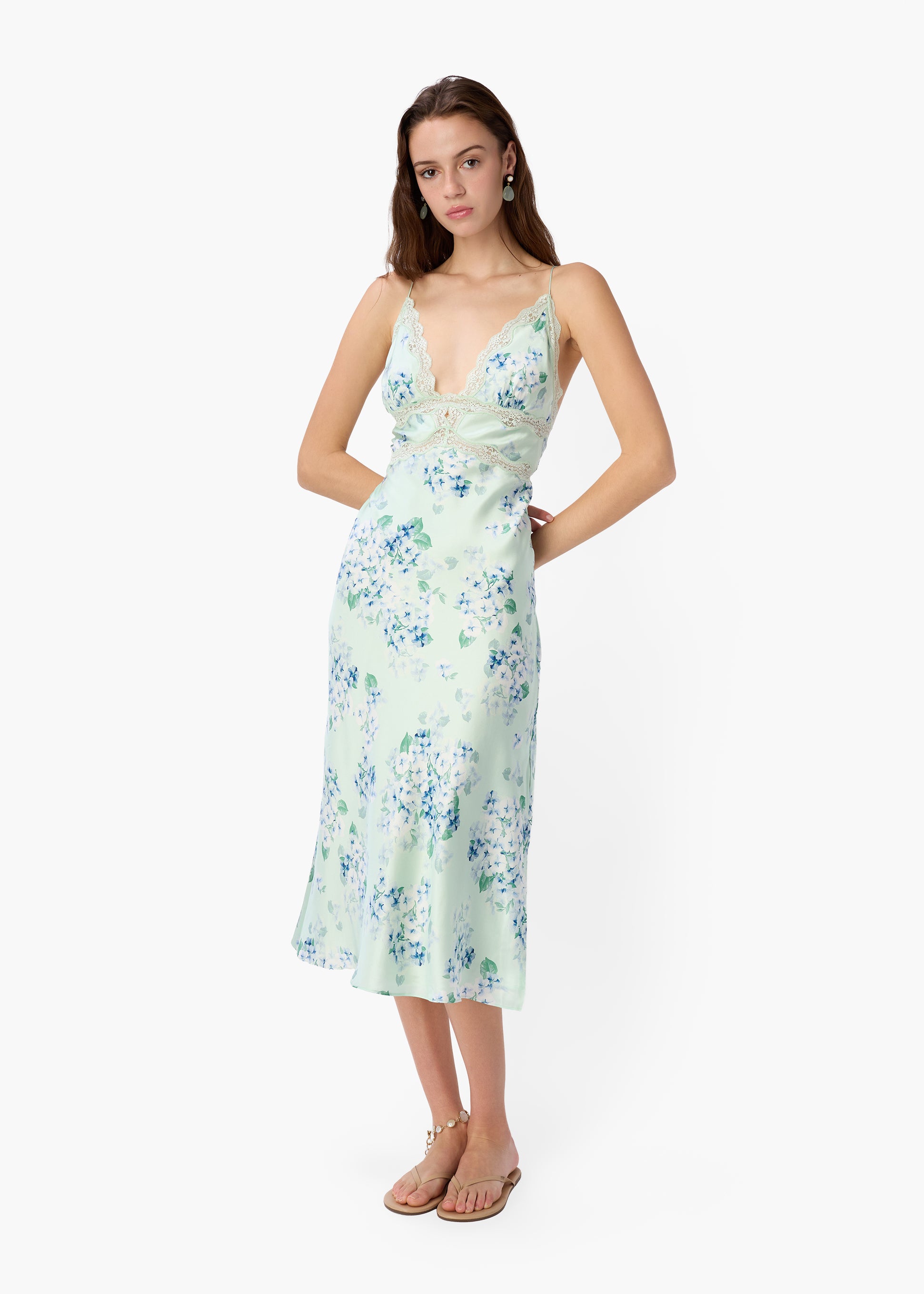 Bibiana Dress Climbing Hydrangea – CAMI NYC