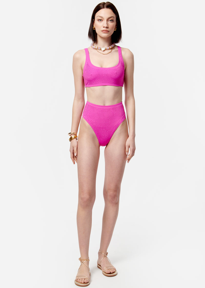 Crystal Bikini Bottom Petunia