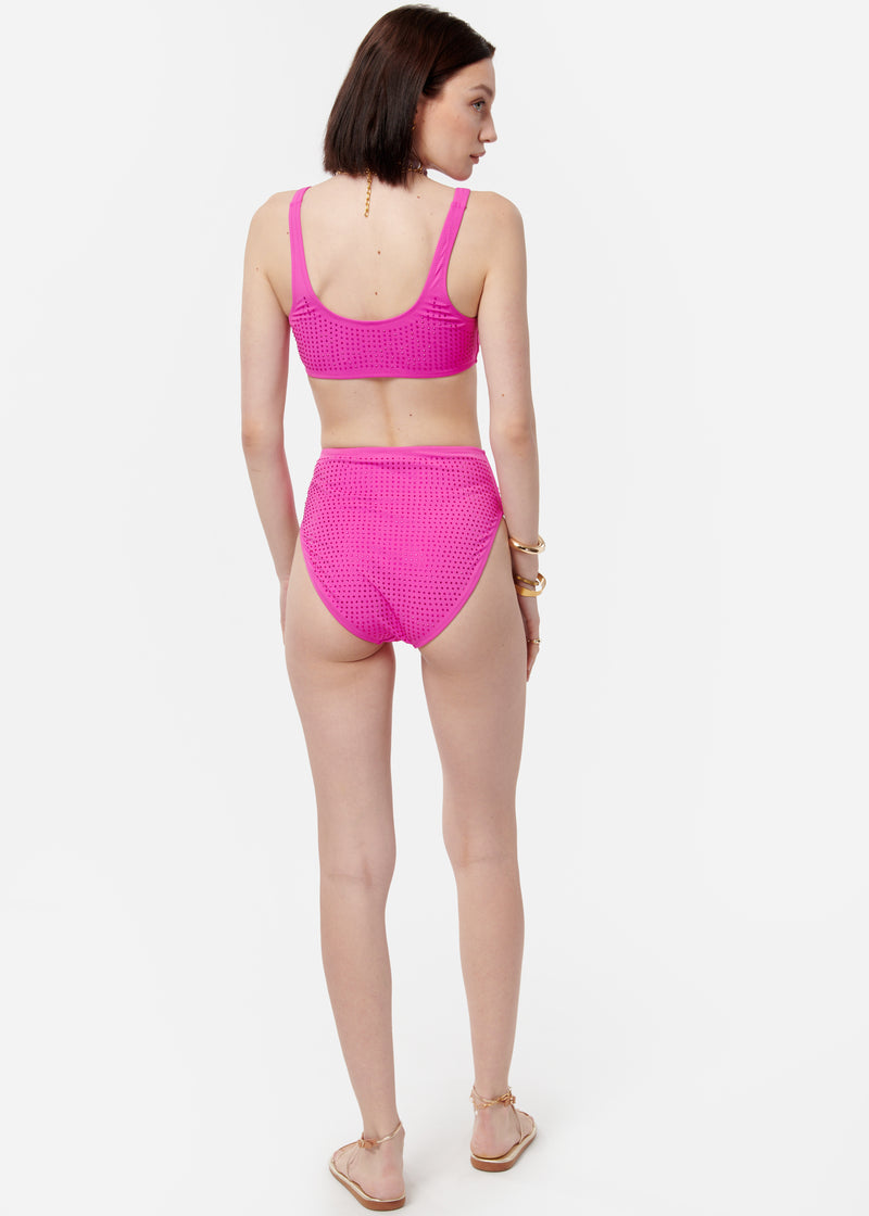 Crystal Bikini Top Petunia