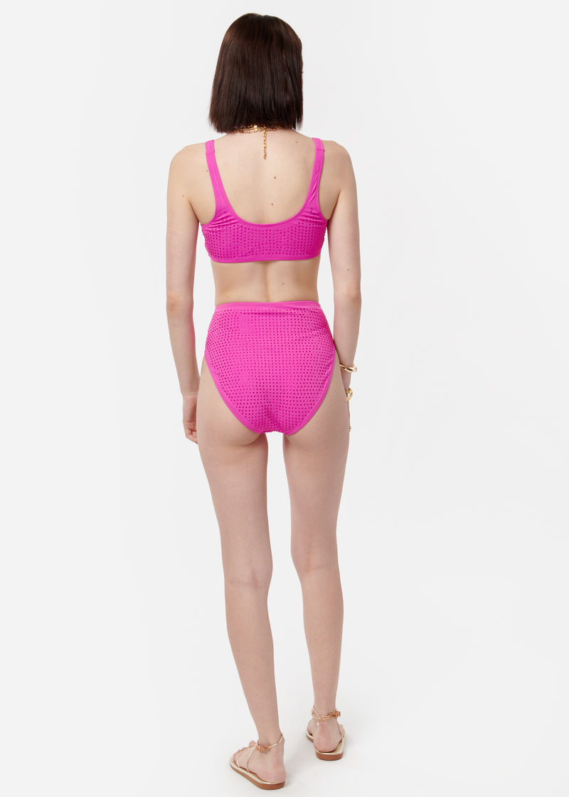 Crystal Bikini Bottom Petunia