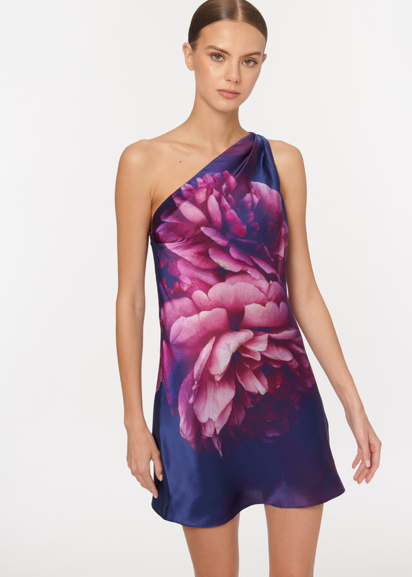 Anges Mini Dress Macro Floral